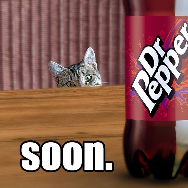 Dr Pepper Zero 2 Litre