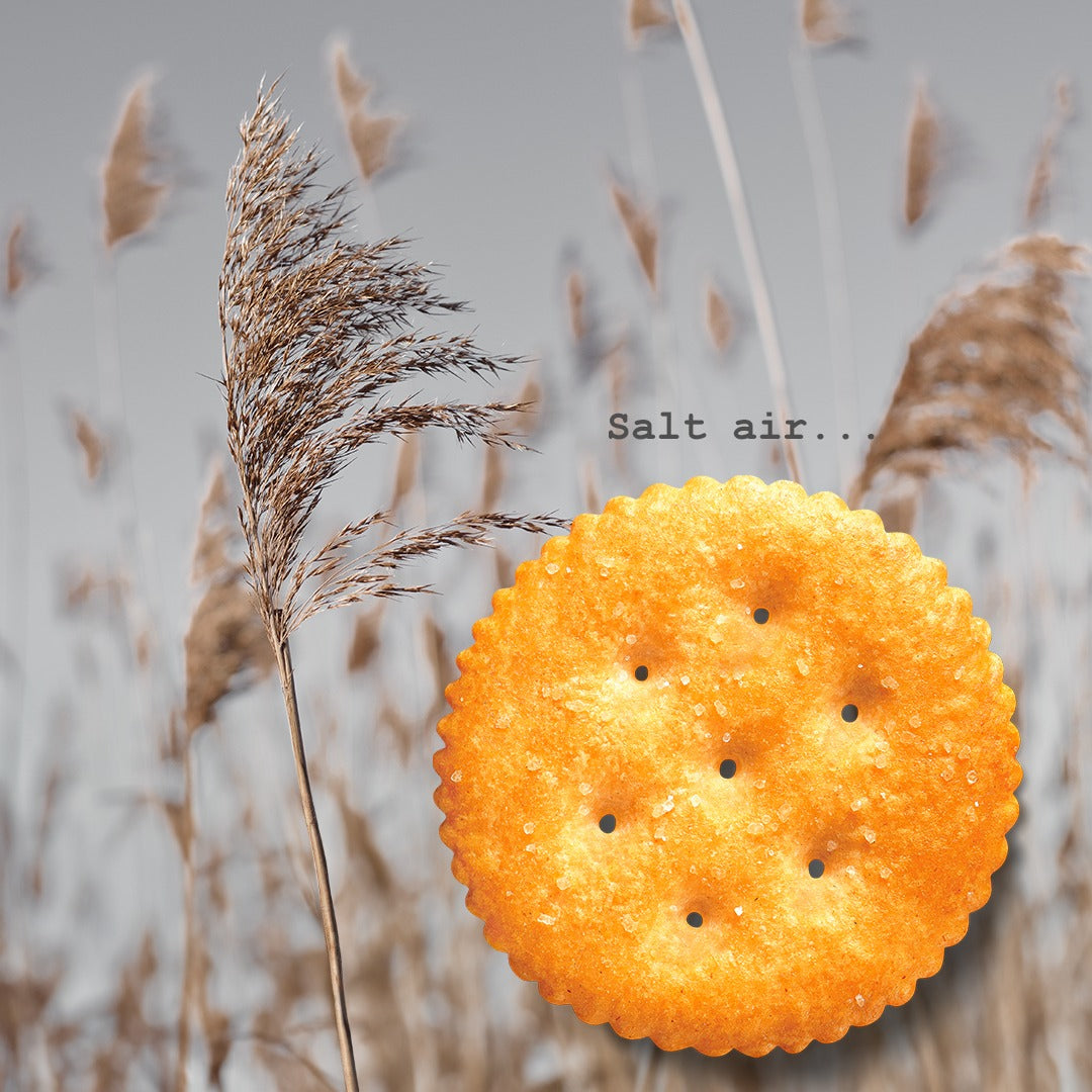 Ritz Original Cracker 150g