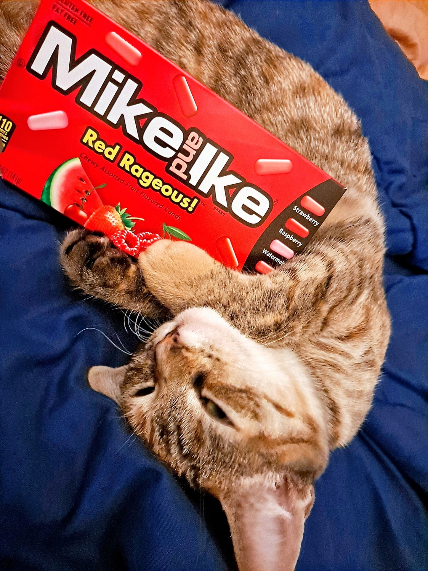 Mike & Ike Red Rageous Chewy Candy 120g