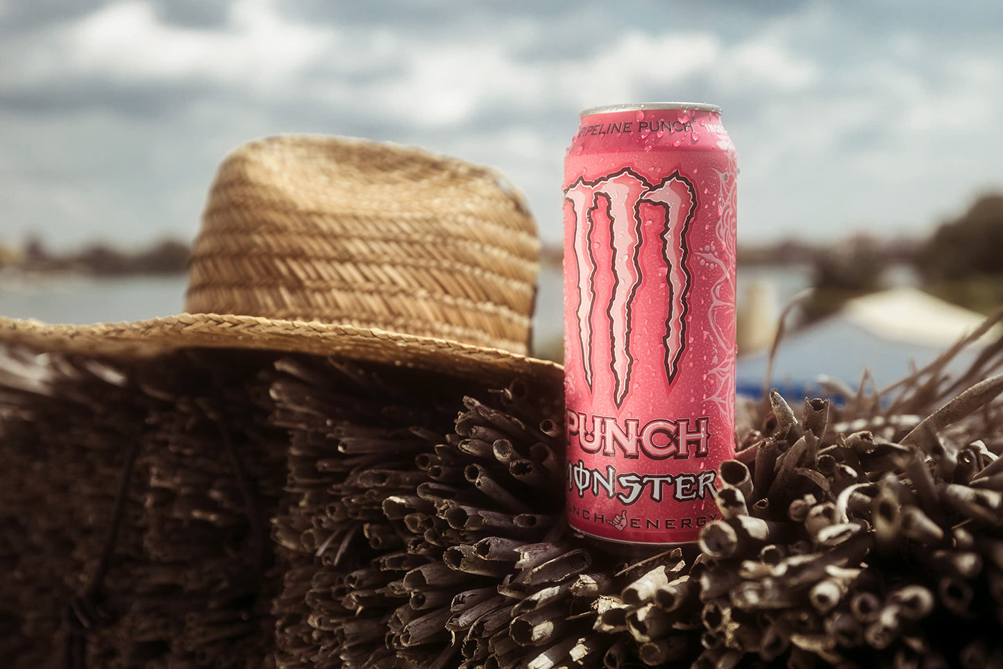 Monster Energy Drink Pipeline Punch 500ml