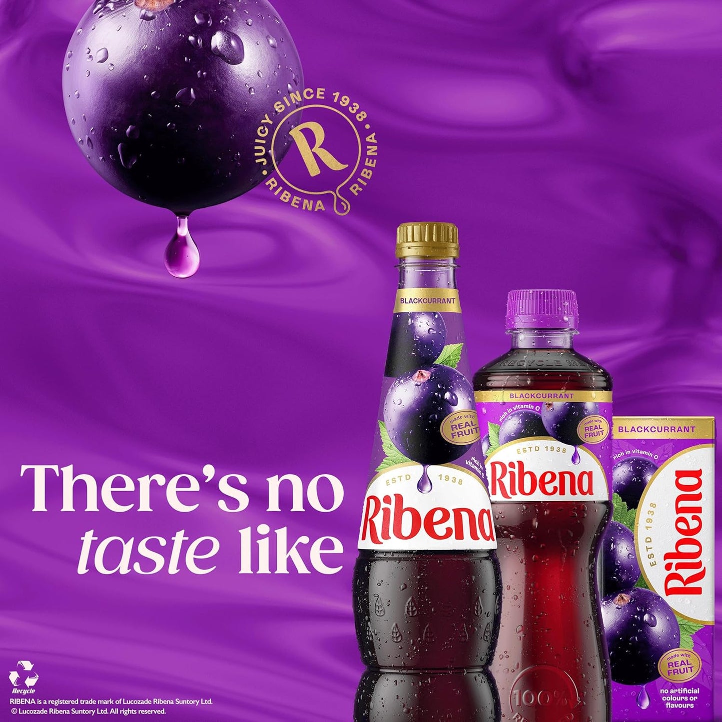Ribena Blackcurrant Juice Drink 250ml