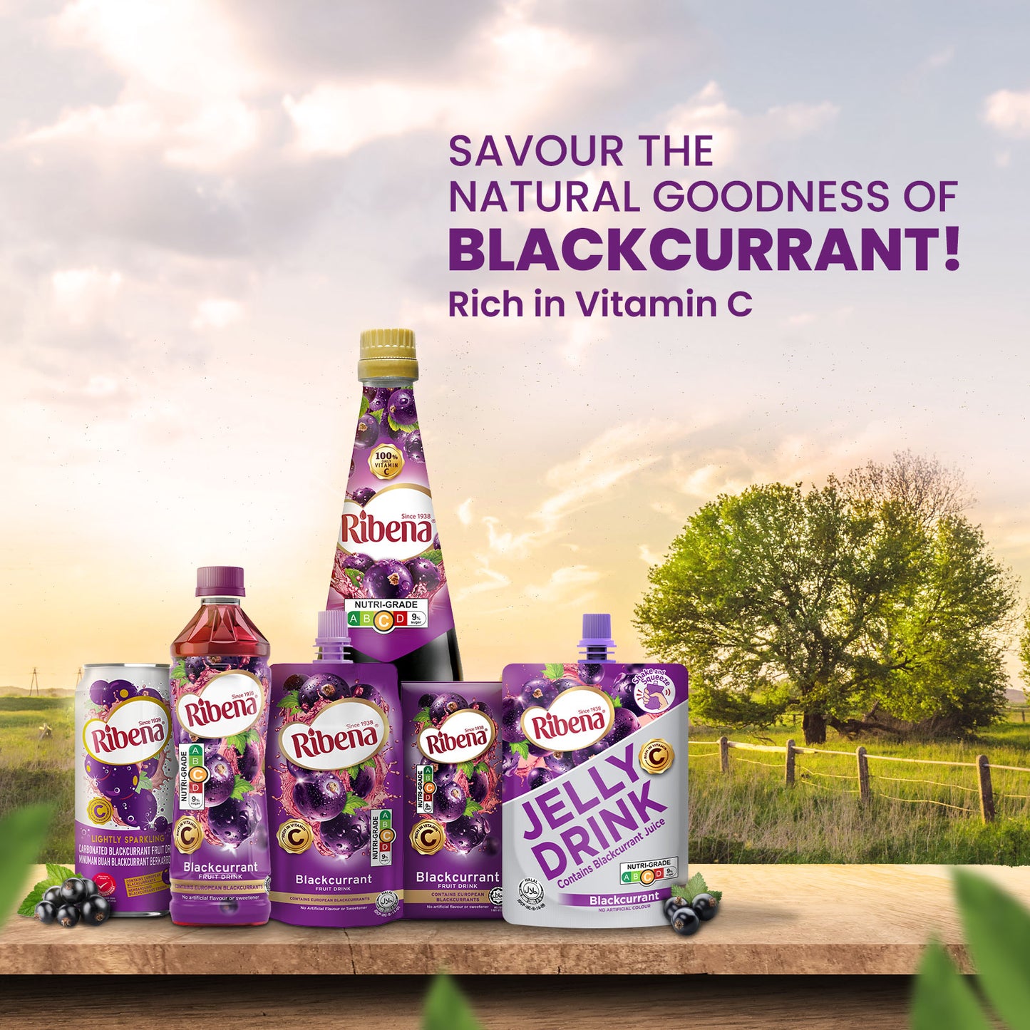Ribena Blackcurrant Juice Drink 250ml