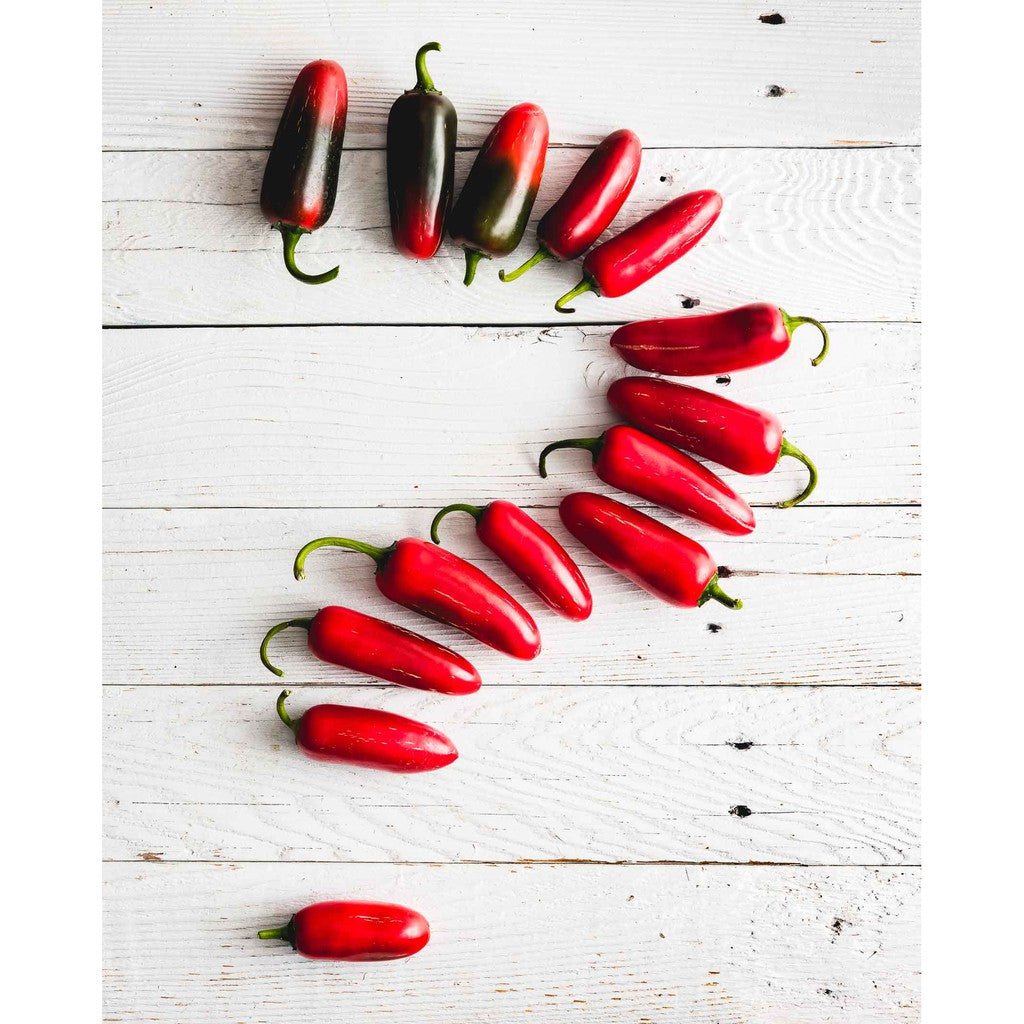 Santa Maria Latin American Kitchen Red Jalapenos 200g