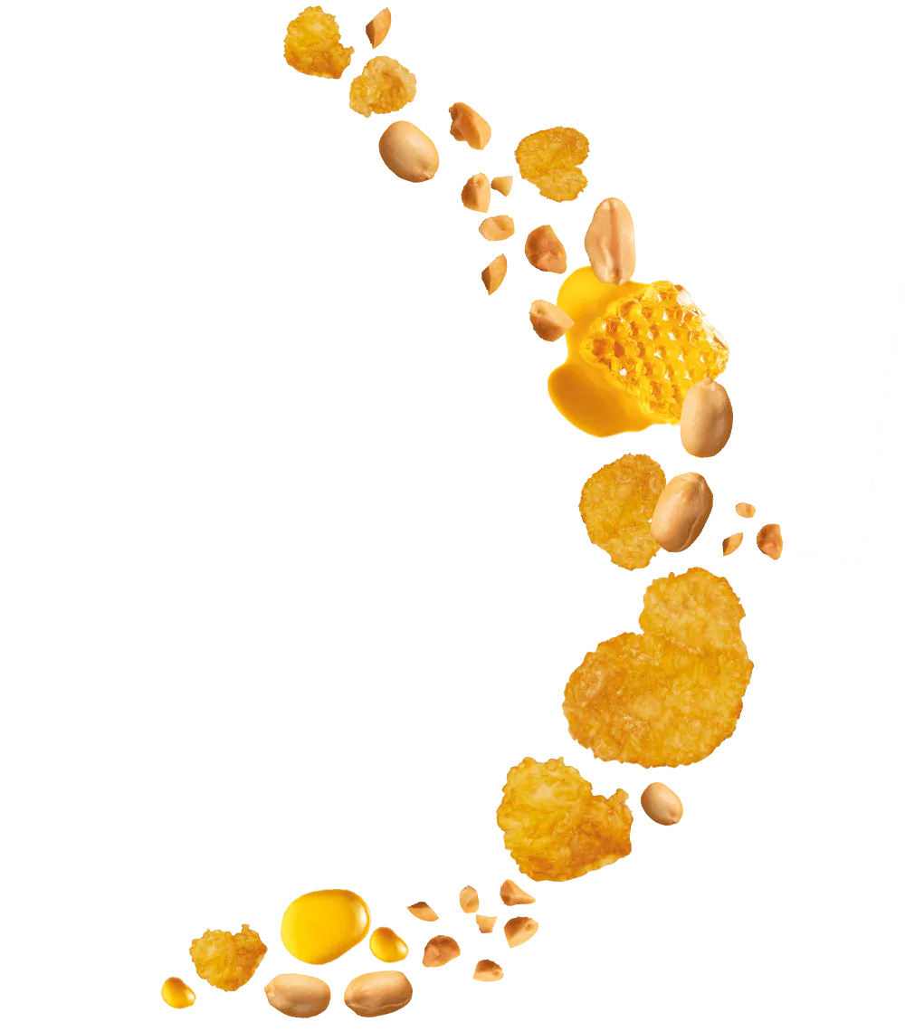 Kelloggs Crunchy Nut Cereal 300g