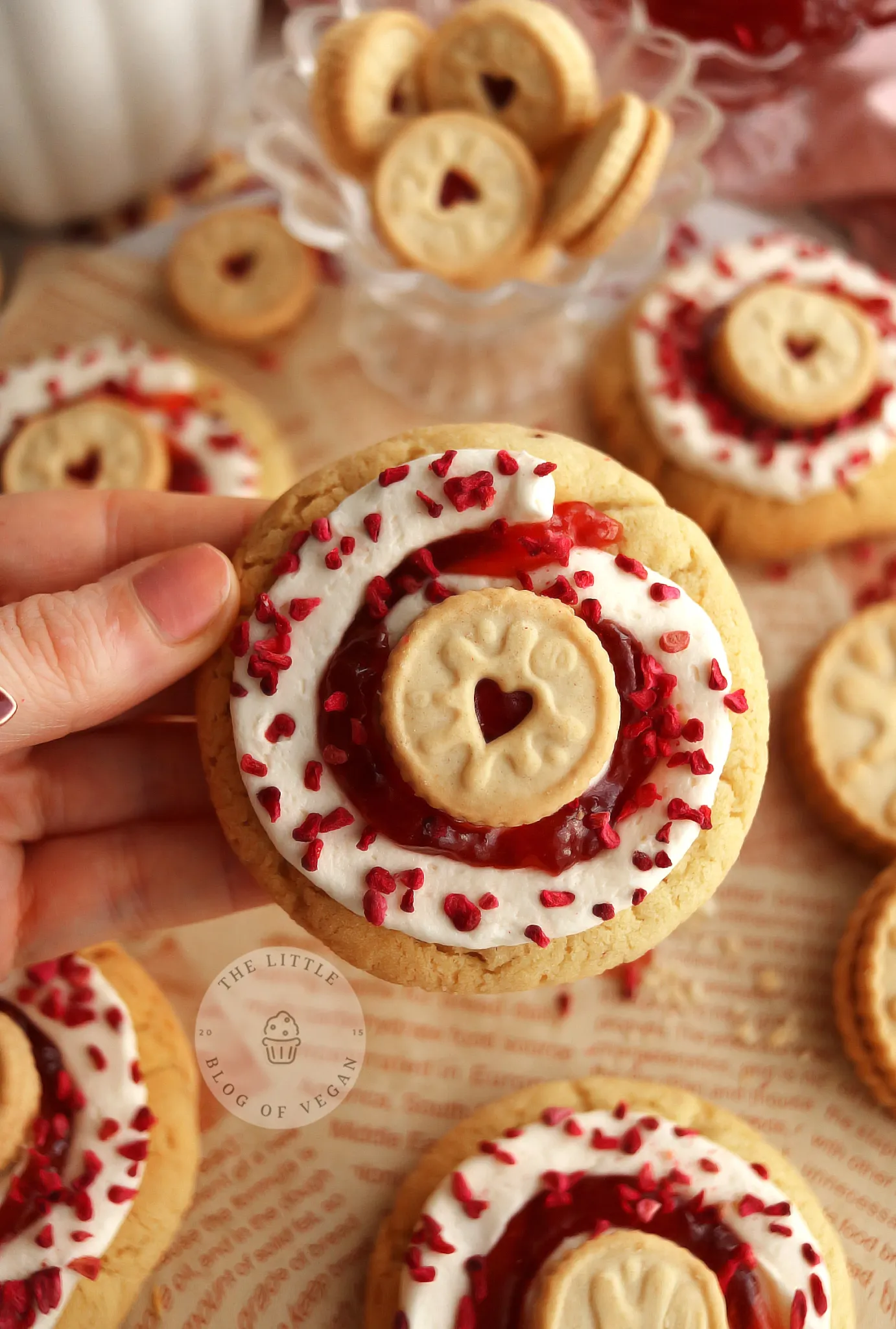 Burtons Jammie Mini Dodger Multi-Pack 120g