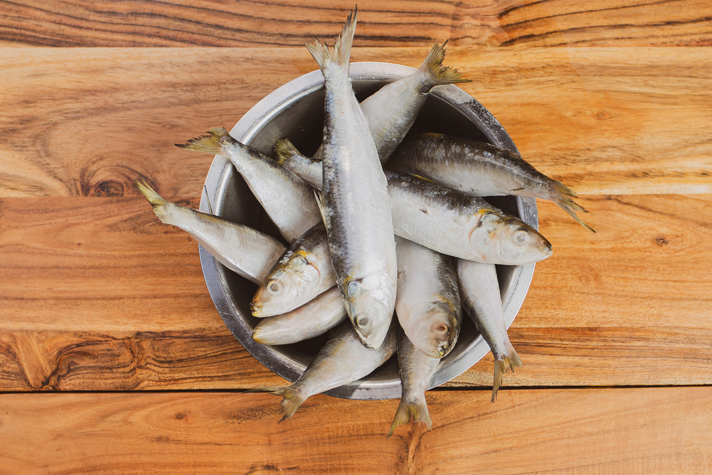 Cookes Pilchards in Tomato Sauce 425g