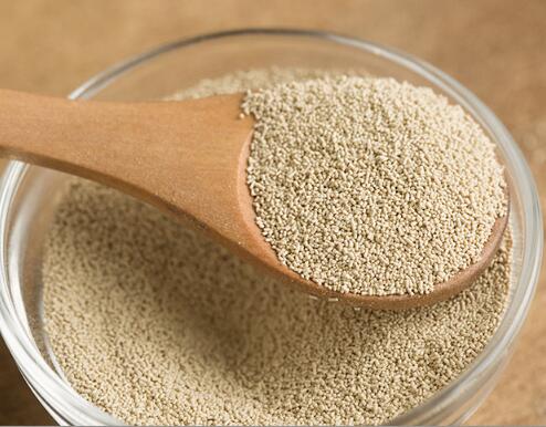 Borwick’s Dried Yeast 5x6g