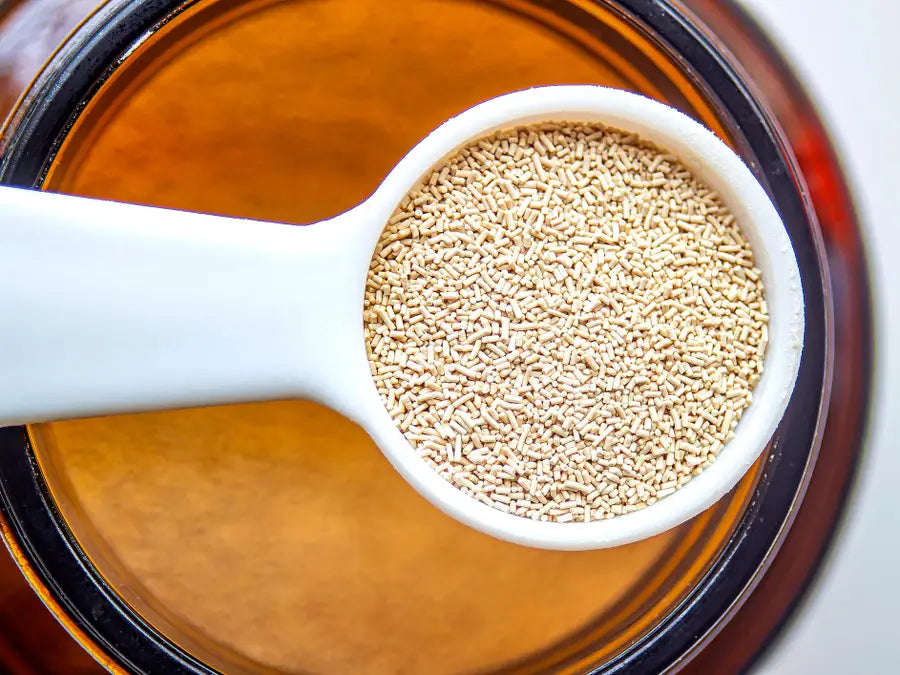 Borwick’s Dried Yeast 5x6g