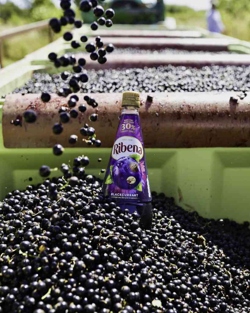 Ribena Blackcurrant 1.5L