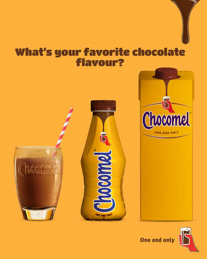 Chocomel Chocolate Flavoured Milk Drink 250ml