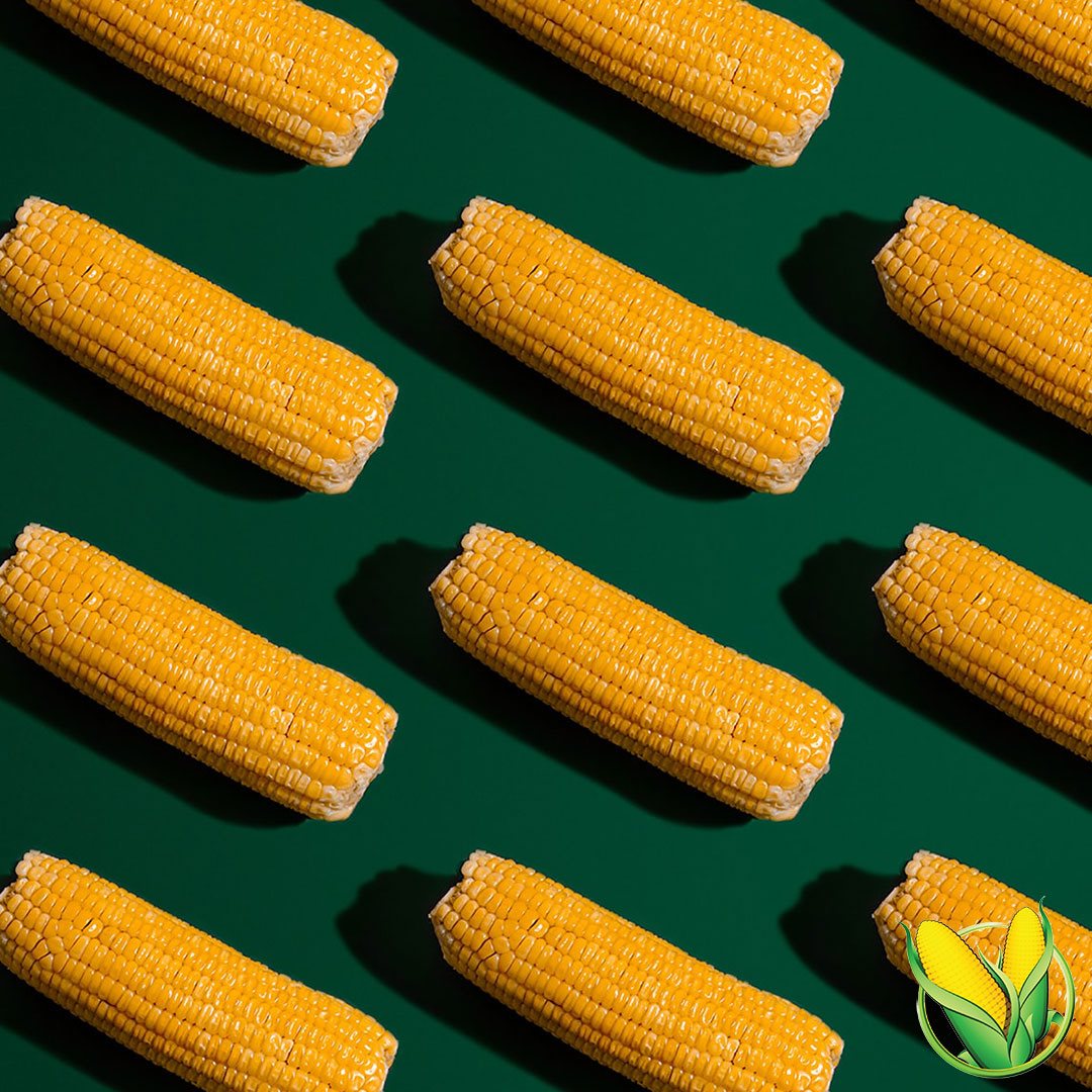 Thingies Salt & Vinegar Corn Snacks 11g