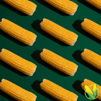 Thingies Salt & Vinegar Corn Snacks 11g