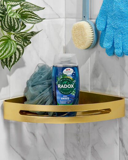 Radox Mineral Therapy Feel Awake Sea Minerals & Fennel 2 in 1 Shower Gel and Shampoo 225ml