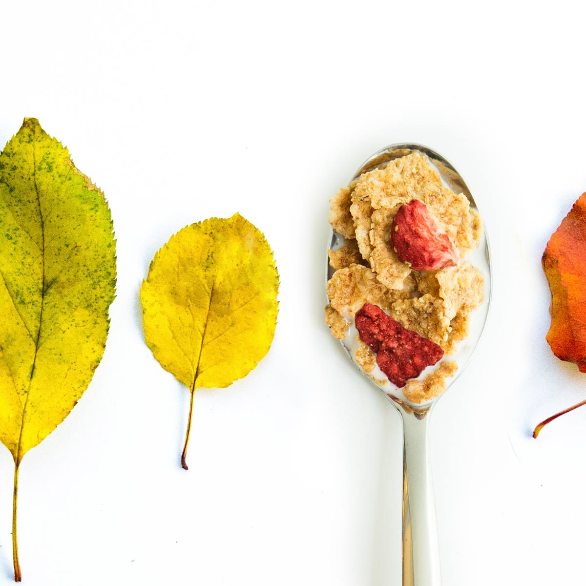 Kellogg's Special K The Original Cereal 440g