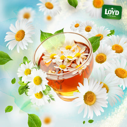 Loyd Camomile Tea Bags 56g