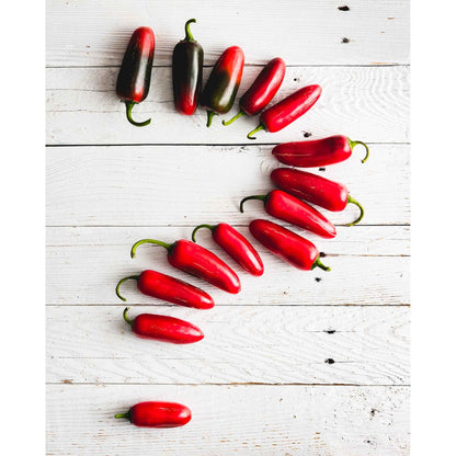 Santa Maria Latin American Kitchen Red Jalapenos 200g