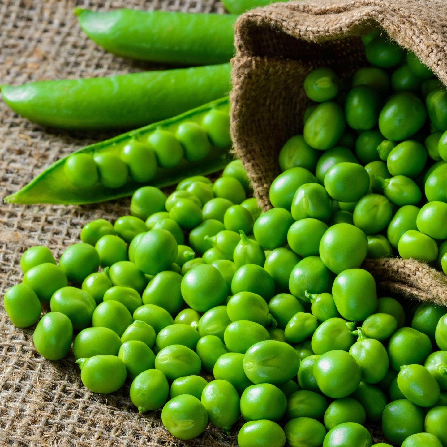 Morrisons The Best Petit Pois 500g