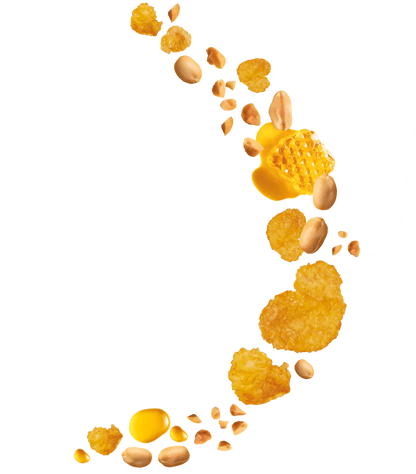 Kelloggs Crunchy Nut Cereal 300g