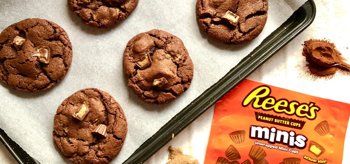 Reese's Minis Unwrapped Peanut Butter Cups 185g