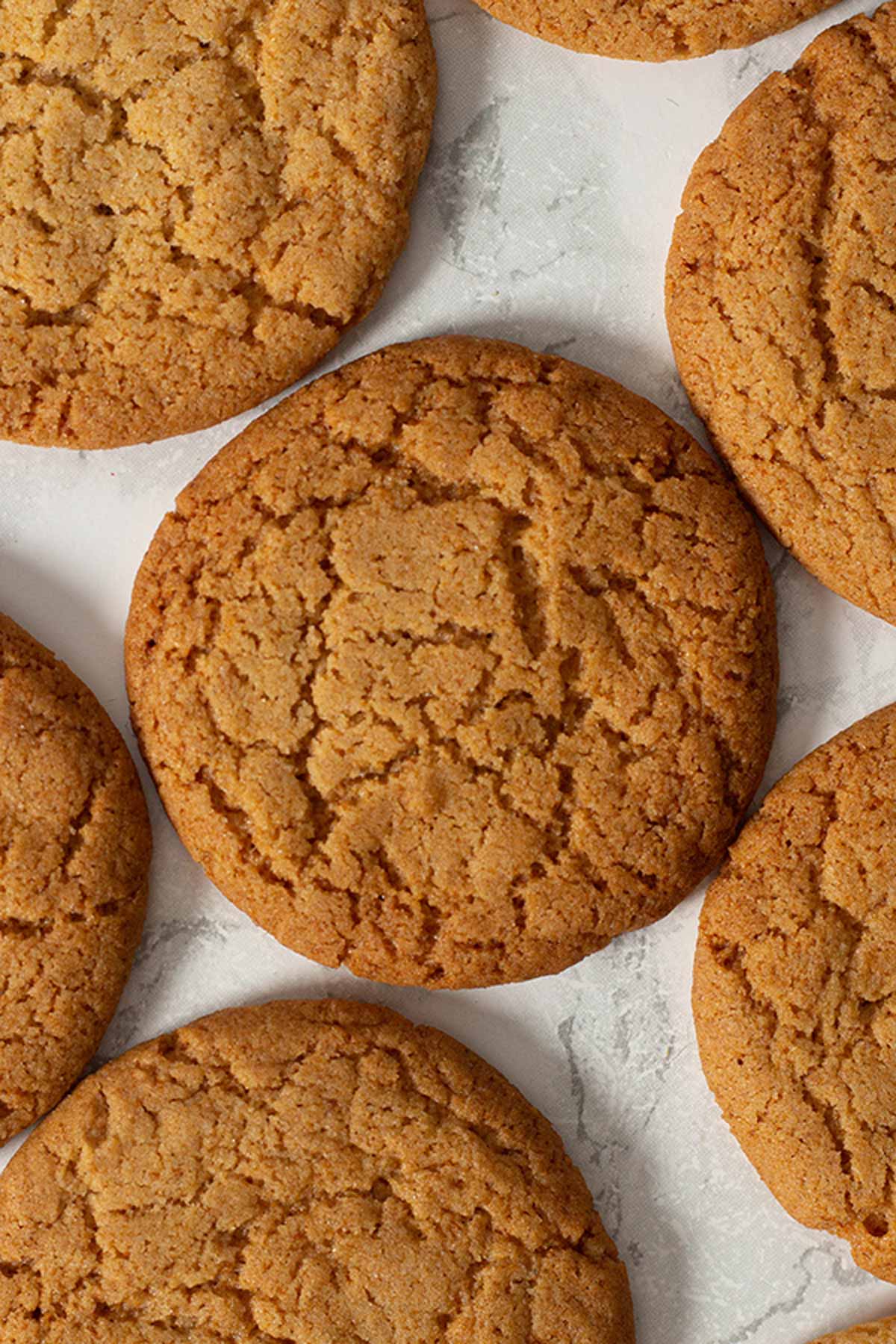 [BestBefore-15Nov2025] [BestBefore-30Aug2025] Lambert & Browne Ginger Nuts Biscuits 400g
