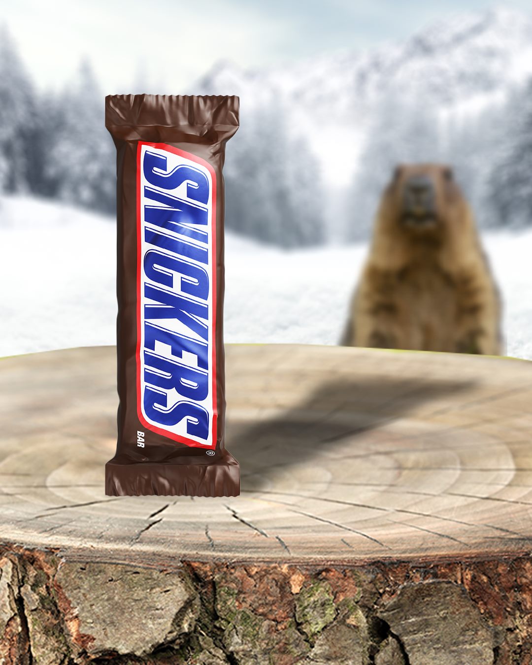 Snickers Protein Chocolate Bar 47g